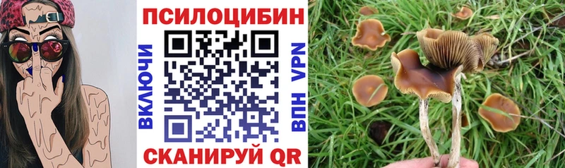 Псилоцибиновые грибы MAGIC MUSHROOMS  цены наркотик  Болхов 
